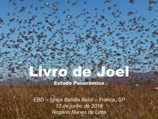 Livro de Joel
Estudo Panorâmico
EBD – Igreja Batista Betel – Franca, SP
12 de junho de 2016
Rogério Nunes de Lima
 