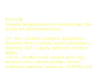 Praga dos Gafanhotos
1.1 a 1.12
Revoada de gafanhotos como acontece até o dia
de hoje em determinados locais.
1.4 – NVI – Cortador, peregrino, devastador e
devorador. ARA – Cortador, voador, devastador e
devorador. ACF – Lagarta, gafanhoto, locusta e
pulgão.
1.10-12 – Problemas em: campos, terra, trigo,
parreiras (vinho), oliveiras (azeite), cevada,
romãzeiras, palmeiras, macieiras – ALEGRIA (12)
 