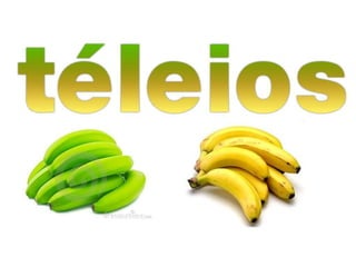 Lição 11 - O Presbítero, Bispo ou Ancião