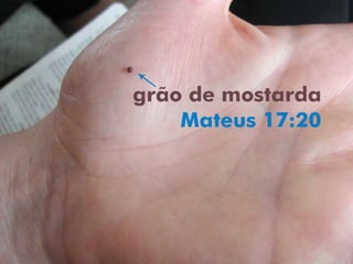 Lição 4 - Dons de Poder