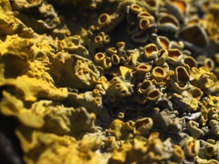 Los elementos básicos  del lenguaje visual