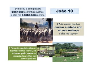 14 Eu sou o bom pastor;
  conheço as minhas ovelhas,       João 10
  e elas me conhecem a mim,


                                   27 As minhas ovelhas
                                  ouvem a minha voz;
                                    eu as conheço,
                                     e elas me seguem




3 Para este o porteiro abre, as
 ovelhas ouvem a sua voz, ele
    chama pelo nome as
    suas próprias ovelhas e as
              conduz para fora
 