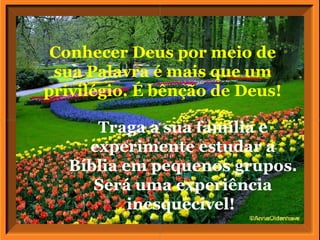 Conhecer Deus por meio de sua Palavra é mais que um privilégio. É bênção de Deus! Traga a sua família e experimente estudar a Bíblia em pequenos grupos. Será uma experiência inesquecível!  