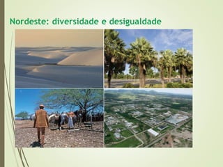 1 complexo regional-do_nordeste