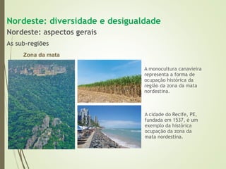 1 complexo regional-do_nordeste