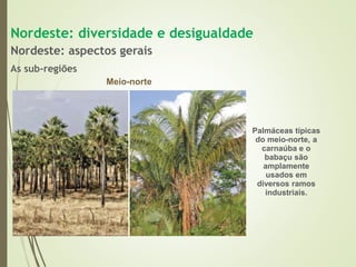 1 complexo regional-do_nordeste