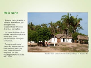 1 complexo regional-do_nordeste