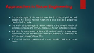 Approaches in Tissue Engineering
 The advantages of this method are that it is biocompatible and
presents the closest natural mechanical and biological properties
needed in the body.
 The main disadvantage of these systems is the limited supply of
autologous tissues and immune responses to non-autologous tissues.
 Additionally, some minor problems still exist such as inhomogeneous
distribution of the seeded cells and the difficulty of removing all
immune-provoking material [23].
 This technique has proven useful in skin, bladder, and heart valve
repair
 