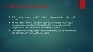 Scaffold cellularization
 Refers to the process by which isolated cells are seeded within a 3D
scaffold
 An important variable during the scaffold cellularization process is
coupling isolated cells with the scaffold to promote functional
integration at cell to cell and cell-material interface.
 Cellularization strategy needs to be optimized to ensure uniformity in
cell distribution throughout t.he scaffold
 