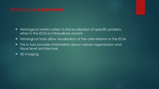 Histological Assessment
 Histological metrics refers to the localization of specific proteins,
ether in the ECM or intracellular protein.
 Histological tools allow visualization of the cells relative to the ECM.
 This in turn provides information about cellular organization and
tissue level architecture.
 3D imaging.
 