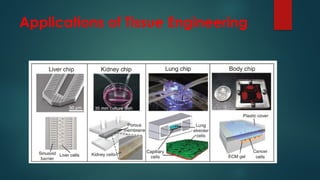 Applications of Tissue Engineering
 