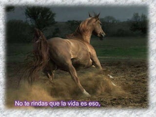 No te rindas que la vida es eso,
 