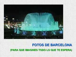 FOTOS DE BARCELONA (PARA QUE IMAGINES TODO LO QUE TE ESPERA) 