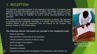 Specimen Reception Show Examples Museum Techniques: IT seminar presentation at AE-FUTHA | PPTX