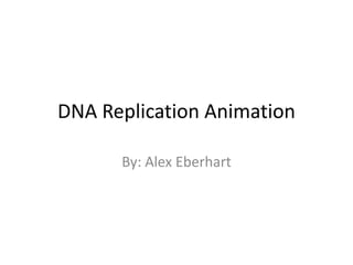 DNA Replication Animation
By: Alex Eberhart

 