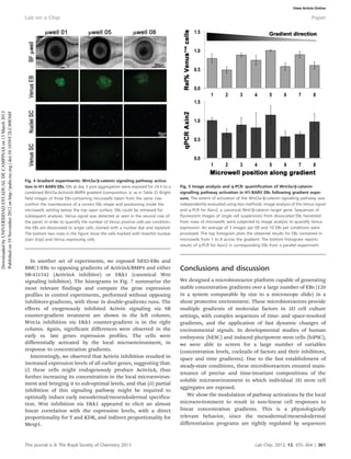 In another set of experiments, we exposed hES2-EBs and
BMC1-EBs to opposing gradients of ActivinA/BMP4 and either
SB-431542 (ActivinA inhibitor) or Dkk1 (canonical Wnt
signaling inhibitor). The histograms in Fig. 7 summarize the
most relevant findings and compare the gene expression
profiles in control experiments, performed without opposing
inhibitors-gradients, with those in double-gradients runs. The
effects of exogenously inhibited Activin signaling via SB
counter-gradient treatment are shown in the left column;
Wnt3a inhibition via Dkk1 counter-gradient is in the right
column. Again, significant differences were observed in the
early vs. late genes expression profiles. The cells were
differentially activated by the local microenvironment, in
response to concentration gradients.
Interestingly, we observed that Activin inhibition resulted in
increased expression levels of all earlier genes, suggesting that:
(i) these cells might endogenously produce ActivinA, thus
further increasing its concentration in the local microenviron-
ment and bringing it to sub-optimal levels, and that (ii) partial
inhibition of this signaling pathway might be required to
optimally induce early mesodermal/mesendodermal specifica-
tion. Wnt inhibition via Dkk1 appeared to elicit an almost
linear correlation with the expression levels, with a direct
proportionality for T and KDR, and indirect proportionality for
Mesp1.
Conclusions and discussion
We designed a microbioreactor platform capable of generating
stable concentration gradients over a large number of EBs (120
in a system comparable by size to a microscope slide) in a
shear protective environment. These microbioreactors provide
multiple gradients of molecular factors in 3D cell culture
settings, with complex sequences of time- and space-resolved
gradients, and the application of fast dynamic changes of
environmental signals. In developmental studies of human
embryonic (hESC) and induced pluripotent stem cells (hiPSC),
we were able to screen for a large number of variables
(concentration levels, cocktails of factors and their inhibitors,
space and time gradients). Due to the fast establishment of
steady-state conditions, these microbioreactors ensured main-
tenance of precise and time-invariant compositions of the
soluble microenvironment to which individual 3D stem cell
aggregates are exposed.
We show the modulation of pathway activations by the local
microenvironment to result in non-linear cell responses to
linear concentration gradients. This is a physiologically
relevant behavior, since the mesodermal/mesendodermal
differentiation programs are tightly regulated by sequences
Fig. 4 Gradient experiments: Wnt3a/b-catenin signaling pathway activa-
tion in H1-BARV EBs. EBs at day 3 post aggregation were exposed for 24 h to a
combined Wnt3a-ActivinA-BMP4 gradient (composition ‘a’ as in Table 2). Bright
field images of three EBs-containing microwells taken from the same row
confirm the maintenance of a correct EBs shape and positioning inside the
microwells settling below the top open surface. EBs could be retrieved for
subsequent analyses. Venus signal was detected as seen in the second row of
the panel. In order to quantify the number of Venus positive cells per condition,
the EBs are dissociated to single cells, stained with a nuclear dye and replated.
The bottom two rows in the figure show the cells marked with Hoechst nuclear
stain (top) and Venus expressing cells.
Fig. 5 Image analysis and q-PCR: quantification of Wnt3a/b-catenin
signalling pathway activation in H1-BARV EBs following gradient expo-
sure. The extent of activation of the Wnt3a/b-catenin signalling pathway was
independently evaluated using two methods: image analysis of the Venus signal
and q-PCR for Axin2, a canonical Wnt/b-catenin target gene. Sequences of
fluorescent images of single cell suspensions from dissociated EBs harvested
from rows of microwells were subjected to image analysis to quantify Venus
expression. An average of 3 images per EB and 10 EBs per conditions were
processed. The top histogram plots the obtained results for EBs contained in
microwells from 1 to 8 across the gradient. The bottom histogram reports
results of q-PCR for Axin2 in corresponding EBs from a parallel experiment.
This journal is ß The Royal Society of Chemistry 2013 Lab Chip, 2013, 13, 355–364 | 361
Lab on a Chip Paper
DownloadedbyUNIVERSIDADESTADUALDECAMPINASon13March2013
Publishedon19November2012onhttp://pubs.rsc.org|doi:10.1039/C2LC40836H View Article Online
 