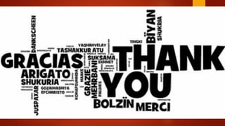 EED Software  Products