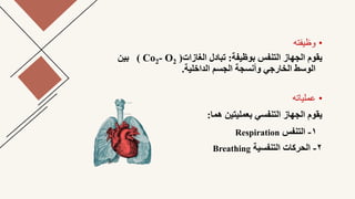 •
‫وظيفته‬
‫بوظيفة‬ ‫التنفس‬ ‫الجهاز‬ ‫يقوم‬
:
‫الغازات‬ ‫تبادل‬
( Co2- O2 )
‫بين‬
‫الداخلية‬ ‫الجسم‬ ‫وأنسجة‬ ‫الخارجي‬ ‫...