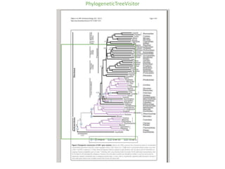 PhylogeneticTreeVisitor
 