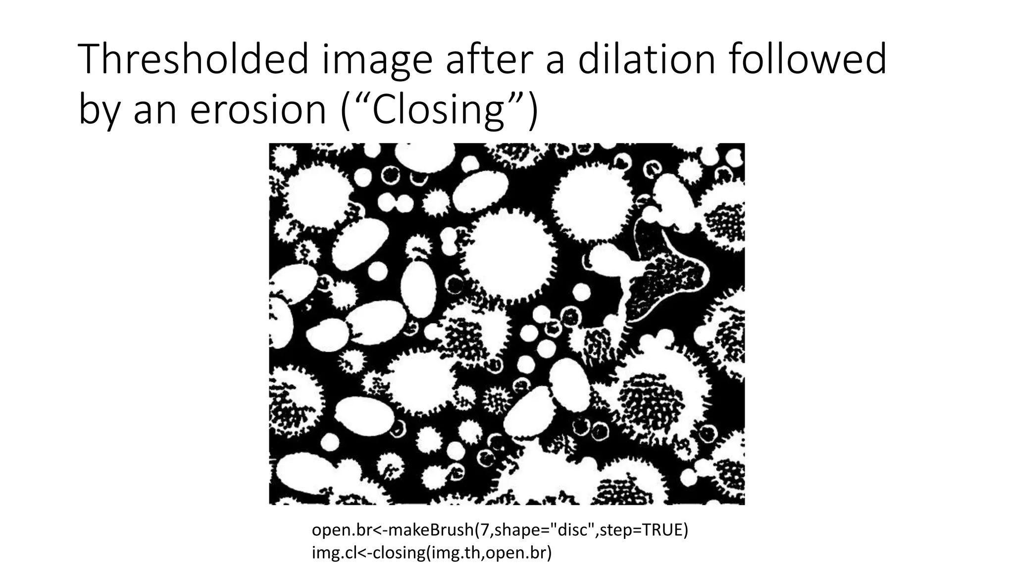 Thresholded image after a dilation followed
by an erosion (“Closing”)
open.br<-makeBrush(7,shape="disc",step=TRUE)
img.cl<-closing(img.th,open.br)
 