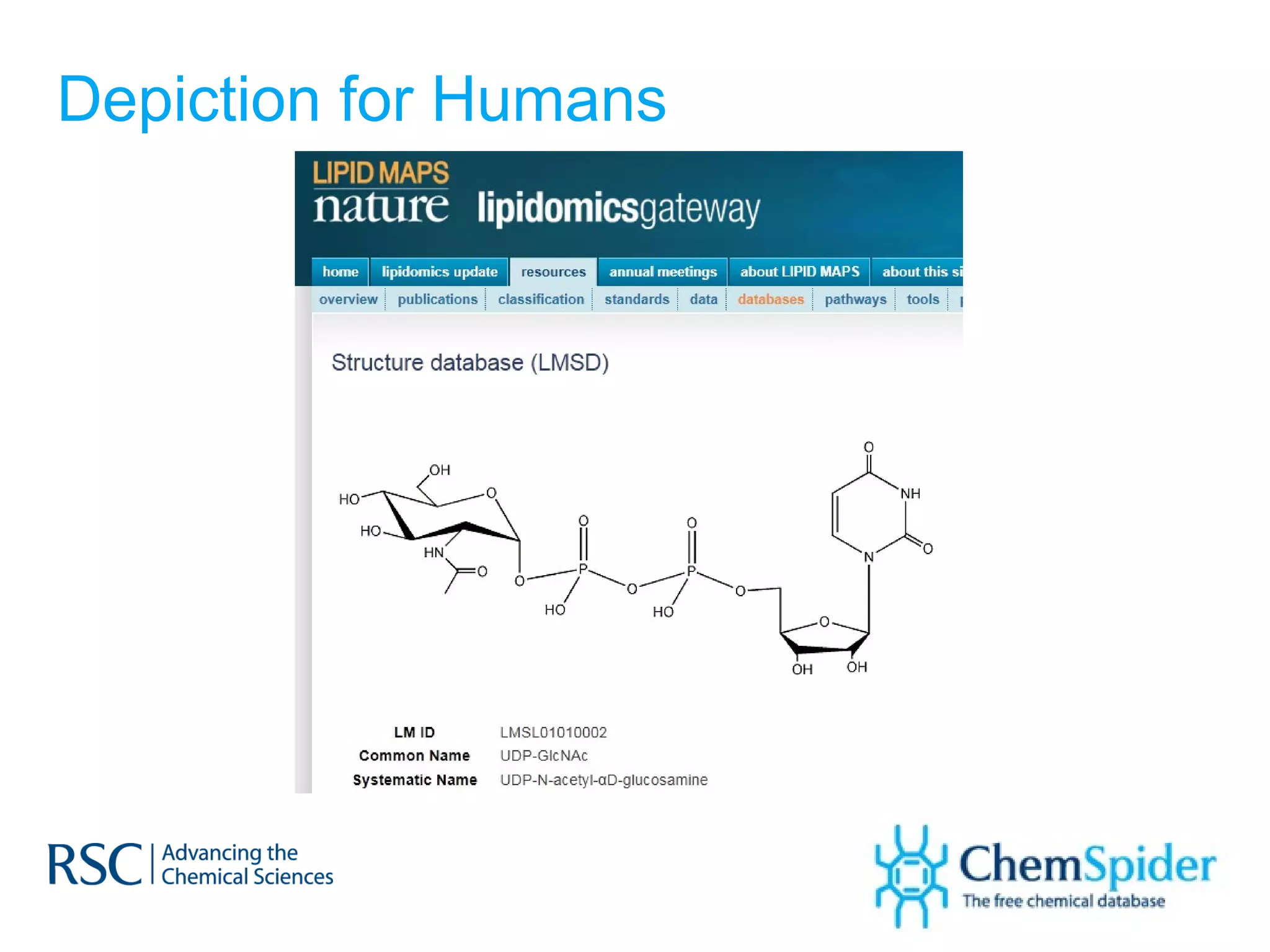 Depiction for Humans 