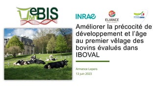 Améliorer la précocité de
développement et l’âge
au premier vêlage des
bovins évalués dans
IBOVAL
Armance Lepers
13 juin 2023
 