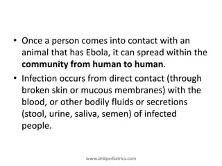 • Once a person comes into contact with an
animal that has Ebola, it can spread within the
community from human to human.
• Infection occurs from direct contact (through
broken skin or mucous membranes) with the
blood, or other bodily fluids or secretions
(stool, urine, saliva, semen) of infected
people.
www.dnbpediatrics.com
 