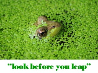 “look before you leap”

 
