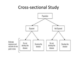 Cross-sectional Study
 
