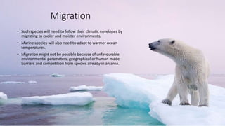 Impacts of Climate Change on Biodiversity | PPTX