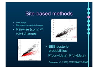 Site-based methods 
• Look at tips 
• Reconstruct ancestral changes 
• Pairwise (conv) ∝ 
(div) changes 
• BEB posterior 
...