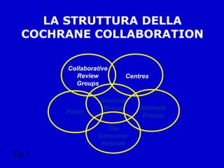 LA STRUTTURA DELLA
COCHRANE COLLABORATION
Collaborative
Review
Groups
Fields
The
Consumer
Network
Centres
Steering
Group Methods
Groups
Fig 7
 