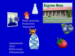 Inquinamento Alcol Rifiuti tossici Alimentazione Prima mutazione Promozione Angiogenesi 