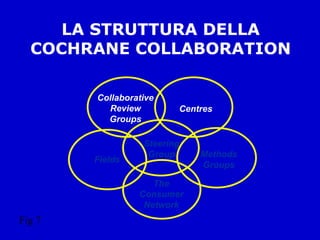 LA STRUTTURA DELLA COCHRANE COLLABORATION Collaborative Review Groups Fields The Consumer Network Centres Steering Group Methods Groups Fig 7 