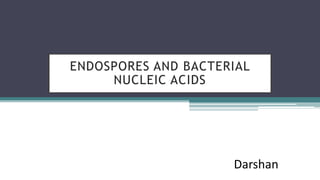 Darshan
ENDOSPORES AND BACTERIAL
NUCLEIC ACIDS
 