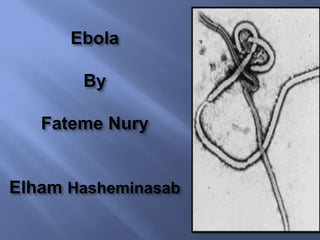 Ebola

By
Fateme Nury

Elham Hasheminasab

 