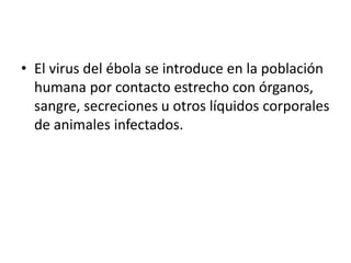 • El virus del ébola se introduce en la población
humana por contacto estrecho con órganos,
sangre, secreciones u otros líquidos corporales
de animales infectados.
 
