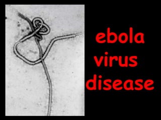 ebola
virus
disease
 