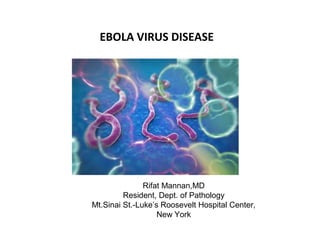 EBOLA VIRUS DISEASE 
Rifat Mannan,MD 
Resident, Dept. of Pathology 
Mt.Sinai St.-Luke’s Roosevelt Hospital Center, 
New York 
 