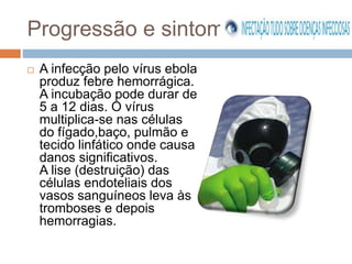 Progressão e sintomas 
 A infecção pelo vírus ebola 
produz febre hemorrágica. 
A incubação pode durar de 
5 a 12 dias. O vírus 
multiplica-se nas células 
do fígado,baço, pulmão e 
tecido linfático onde causa 
danos significativos. 
A lise (destruição) das 
células endoteliais dos 
vasos sanguíneos leva às 
tromboses e depois 
hemorragias. 
 