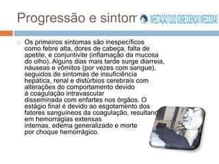 Progressão e sintomas 
 Os primeiros sintomas são inespecíficos 
como febre alta, dores de cabeça, falta de 
apetite, e conjuntivite (inflamação da mucosa 
do olho). Alguns dias mais tarde surge diarreia, 
náuseas e vômitos (por vezes com sangue), 
seguidos de sintomas de insuficiência 
hepática, renal e distúrbios cerebrais com 
alterações do comportamento devido 
à coagulação intravascular 
disseminada com enfartes nos órgãos. O 
estágio final é devido ao esgotamento dos 
fatores sanguíneos da coagulação, resultando 
em hemorragias extensas 
internas, edema generalizado e morte 
por choque hemorrágico. 
 