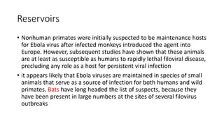 Reservoirs 
• Nonhuman primates were initially suspected to be maintenance hosts 
for Ebola virus after infected monkeys introduced the agent into 
Europe. However, subsequent studies have shown that these animals 
are at least as susceptible as humans to rapidly lethal filoviral disease, 
precluding any role as a host for persistent viral infection 
• it appears likely that Ebola viruses are maintained in species of small 
animals that serve as a source of infection for both humans and wild 
primates. Bats have long headed the list of suspects, because they 
have been present in large numbers at the sites of several filovirus 
outbreaks 
 