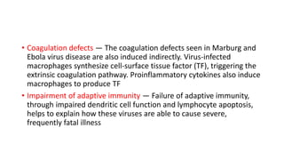 • Coagulation defects — The coagulation defects seen in Marburg and 
Ebola virus disease are also induced indirectly. Virus-infected 
macrophages synthesize cell-surface tissue factor (TF), triggering the 
extrinsic coagulation pathway. Proinflammatory cytokines also induce 
macrophages to produce TF 
• Impairment of adaptive immunity — Failure of adaptive immunity, 
through impaired dendritic cell function and lymphocyte apoptosis, 
helps to explain how these viruses are able to cause severe, 
frequently fatal illness 
 