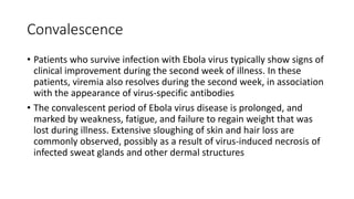 Convalescence 
• Patients who survive infection with Ebola virus typically show signs of 
clinical improvement during the second week of illness. In these 
patients, viremia also resolves during the second week, in association 
with the appearance of virus-specific antibodies 
• The convalescent period of Ebola virus disease is prolonged, and 
marked by weakness, fatigue, and failure to regain weight that was 
lost during illness. Extensive sloughing of skin and hair loss are 
commonly observed, possibly as a result of virus-induced necrosis of 
infected sweat glands and other dermal structures 
 