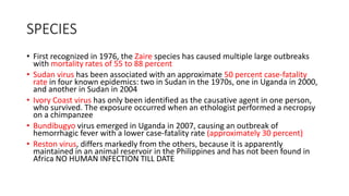 SPECIES 
• First recognized in 1976, the Zaire species has caused multiple large outbreaks 
with mortality rates of 55 to 88 percent 
• Sudan virus has been associated with an approximate 50 percent case-fatality 
rate in four known epidemics: two in Sudan in the 1970s, one in Uganda in 2000, 
and another in Sudan in 2004 
• Ivory Coast virus has only been identified as the causative agent in one person, 
who survived. The exposure occurred when an ethologist performed a necropsy 
on a chimpanzee 
• Bundibugyo virus emerged in Uganda in 2007, causing an outbreak of 
hemorrhagic fever with a lower case-fatality rate (approximately 30 percent) 
• Reston virus, differs markedly from the others, because it is apparently 
maintained in an animal reservoir in the Philippines and has not been found in 
Africa NO HUMAN INFECTION TILL DATE 
 
