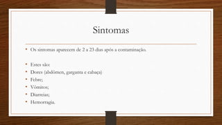 Sintomas 
• Os sintomas aparecem de 2 a 23 dias após a contaminação. 
• Estes são: 
• Dores (abdômen, garganta e cabaça) 
• Febre; 
• Vômitos; 
• Diarreias; 
• Hemorragia. 
 