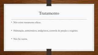 Tratamento 
• Não existe tratamento eficaz. 
• Hidratação, antitérmicos, analgésicos, controle de preção e oxigênio. 
• Não há vacina. 
 