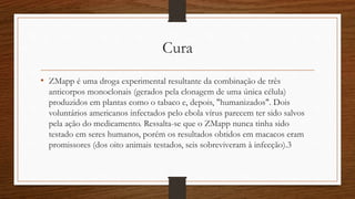 Cura 
• ZMapp é uma droga experimental resultante da combinação de três 
anticorpos monoclonais (gerados pela clonagem de uma única célula) 
produzidos em plantas como o tabaco e, depois, "humanizados". Dois 
voluntários americanos infectados pelo ebola vírus parecem ter sido salvos 
pela ação do medicamento. Ressalta-se que o ZMapp nunca tinha sido 
testado em seres humanos, porém os resultados obtidos em macacos eram 
promissores (dos oito animais testados, seis sobreviveram à infecção).3 
 