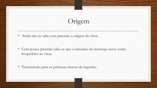 Origem 
• Ainda não se sabe com precisão a origem do vírus. 
• Com pouca precisão sabe-se que o intestino do morcego serve como 
hospedeiro ao vírus. 
• Transmissão para os primatas através da ingestão. 
 
