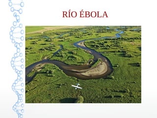RÍO ÉBOLA 
 